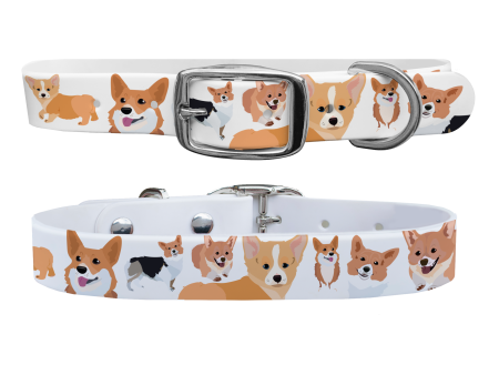 Corgi Dog Collar With Silver Buckle Online Hot Sale