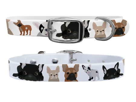 French Bulldog Dog Collar With Silver Buckle For Discount