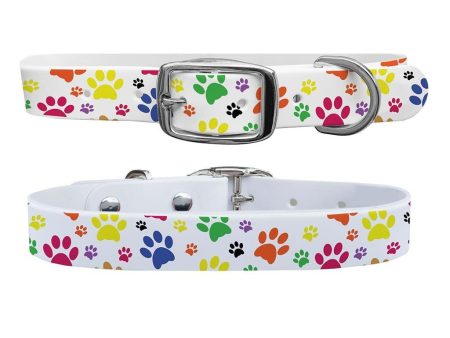 Pawprints Dog Collar With Silver Buckle Online Sale