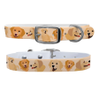 Golden Retriver Collar With Silver Buckle Supply