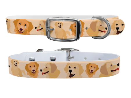 Golden Retriver Collar With Silver Buckle Supply