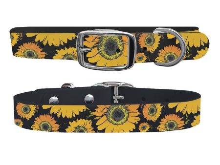 Sunflower Dog Collar With Silver Buckle Online now