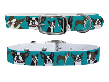 Boston Terrier Dog Collar With Silver Buckle For Discount