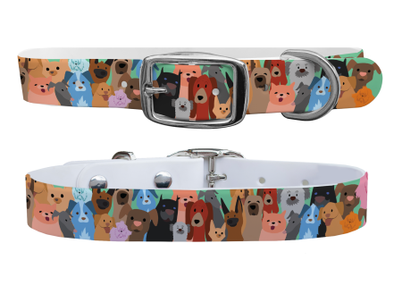 Dog Party Dog Collar With Silver Buckle For Sale