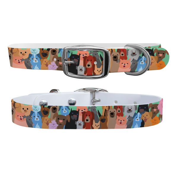 Dog Party Dog Collar With Silver Buckle For Sale