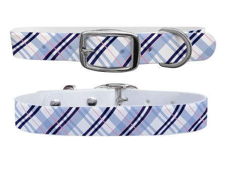 SanSoleil - Highlands Blue Dog Collar With Silver Buckle Sale