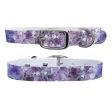 Amethyst Dog Collar With Silver Buckle Cheap