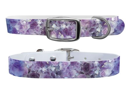 Amethyst Dog Collar With Silver Buckle Cheap