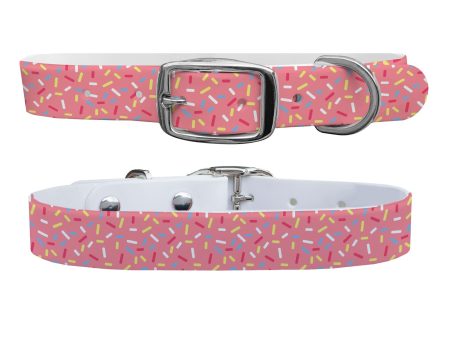 Sprinkles Dog Collar With Silver Buckle Online