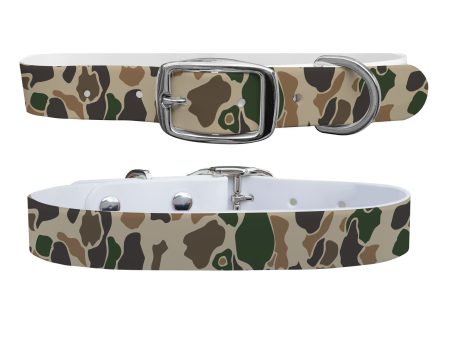 CP - Brigadier Camo Dog Collar With Silver Buckle For Discount