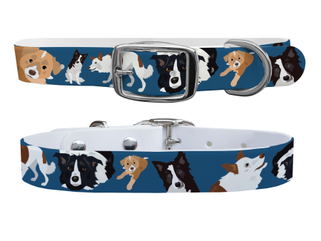 Border Collie Dog Collar With Silver Buckle For Cheap