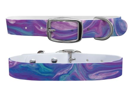 Potion Dog Collar With Silver Buckle Discount