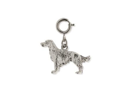 1928 Jewelry® Pewter Golden Retriever Dog Charm Online now