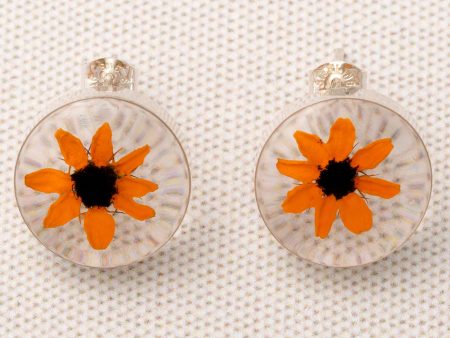 Real Sunflower & Sterling Post Earrings Sale