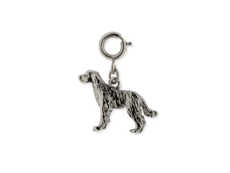 1928 Jewelry® Pewter Labrador Dog Charm Sale