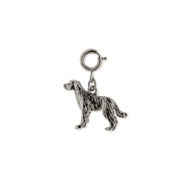 1928 Jewelry® Pewter Labrador Dog Charm Sale