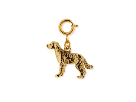 1928 Jewelry® 14K Gold Dipped Labrador Dog Charm Discount