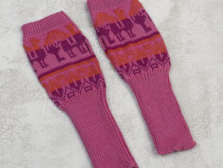 Alpaca Rainbow Knit Alpaca Blend Fingerless Gloves in Rose from Peru Supply